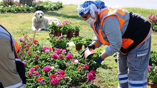 Bodrum'da 56. Cumhurbaşkanlığı Türkiye Bisiklet Turu heyecanı