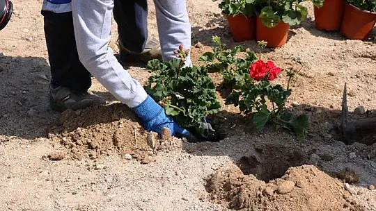 Bodrum'da 56. Cumhurbaşkanlığı Türkiye Bisiklet Turu heyecanı