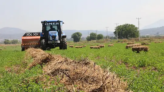Büyükşehir'den 700 Üreticiye  Kaba Yem Desteği Veriliyor