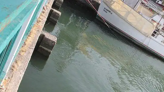 FETHİYE KÖRFEZİ CARETTA YUVASI