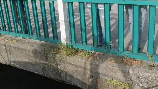 FETHİYE KÖRFEZİ CARETTA YUVASI