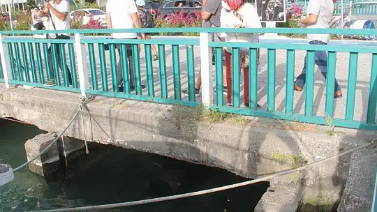 FETHİYE KÖRFEZİ CARETTA YUVASI