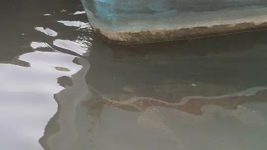 FETHİYE KÖRFEZİ CARETTA YUVASI