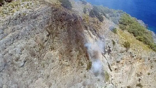 Dalaman'da orman yangını