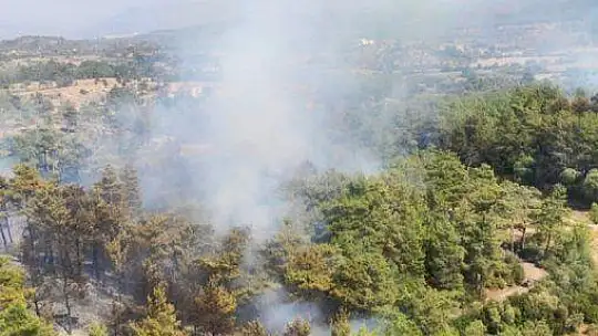 Dalaman'da orman yangını