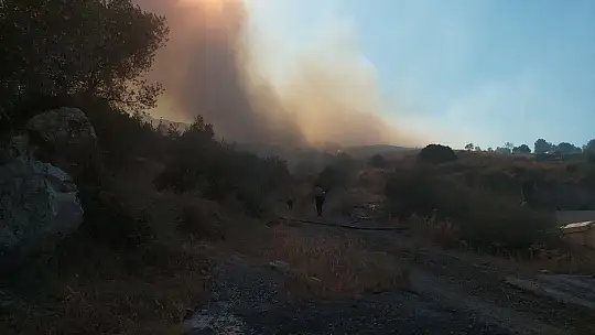 Datça'da makilik yangını kontrol altına alındı