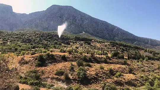Makilik alanda başlayan yangın kontrol altında