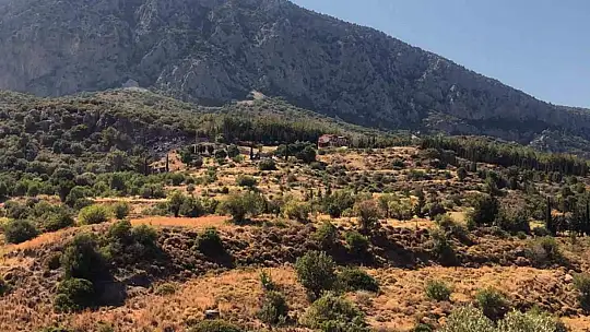 Makilik alanda başlayan yangın kontrol altında