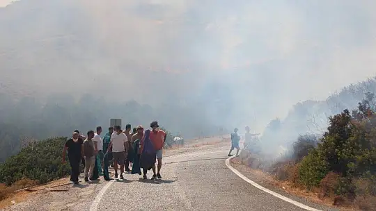Denizden çıkan turistler yangını söndürmeye gitti