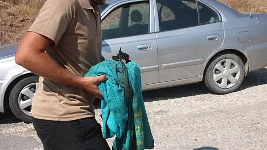Denizden çıkan turistler yangını söndürmeye gitti