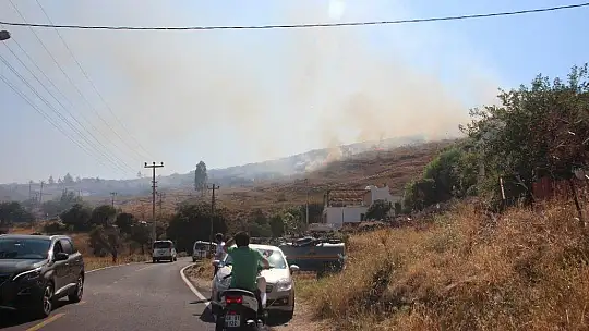 Denizden çıkan turistler yangını söndürmeye gitti