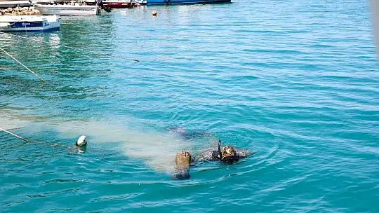 'Denize En Çok Mavi Yakışır' Diyerek Deniz Dibi Temizliği Yaptılar