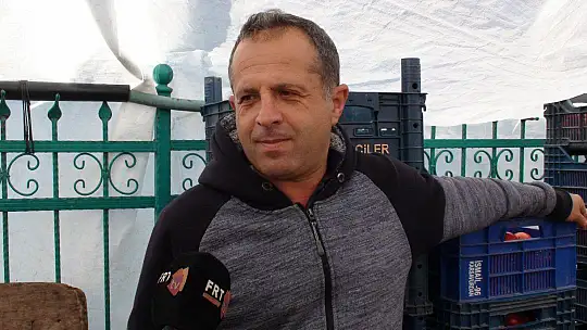 DOMATES FİYATLARI DÜŞECEK Mİ?