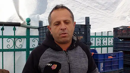 DOMATES FİYATLARI DÜŞECEK Mİ?