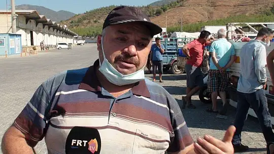 Çiftçiler isyanda Salatalık başka şehirde 2.50, Fethiye'de 80 kuruş