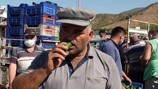 Çiftçiler isyanda Salatalık başka şehirde 2.50, Fethiye'de 80 kuruş