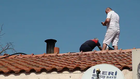 BACA YANGINI KORKUTTU