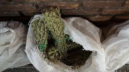 AKTAR TOPÇU, 'KIŞ ÇAYLARI SOĞUK ALGINLIKLARINA İYİ GELİR'