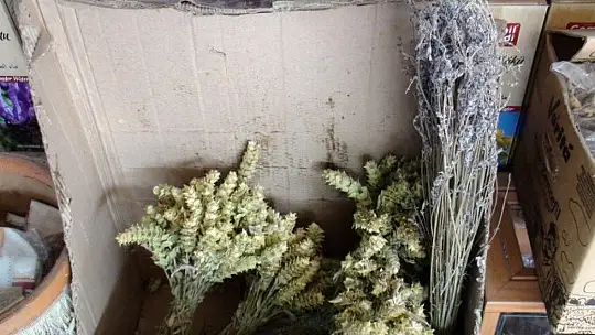 AKTAR TOPÇU, 'KIŞ ÇAYLARI SOĞUK ALGINLIKLARINA İYİ GELİR'