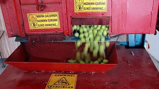 BU SENENİN İNCİSİ SİYAH ZEYTİN