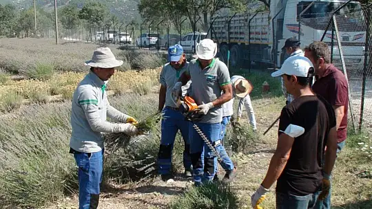 BAŞKAN KARACA, 'BÖLGE EKONOMİSİNE KATKI SAĞLIYOR'