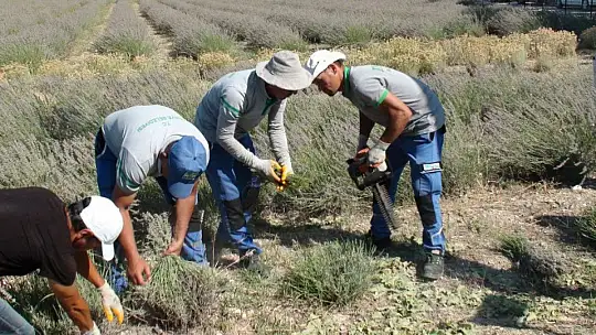 BAŞKAN KARACA, 'BÖLGE EKONOMİSİNE KATKI SAĞLIYOR'