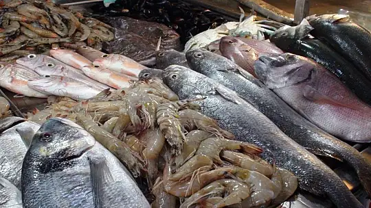 TROL AVI AÇILDI ÇEŞİT ARTTI