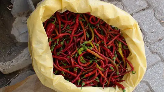 ÜRETİCİ PAZARI TIKLIM TIKLIM