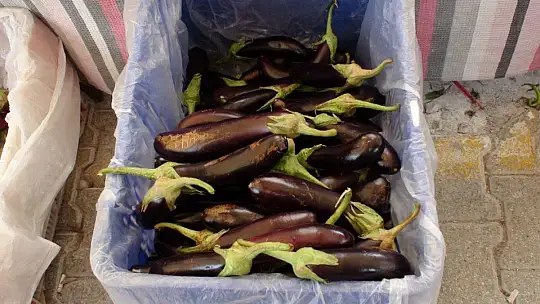 ÜRETİCİ PAZARI YİNE BİLİNDİĞİ GİBİ