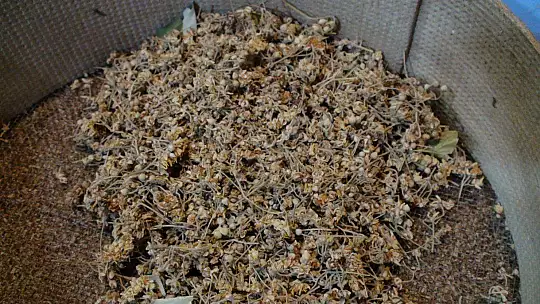 KIŞ MEVSİMİ YAKLAŞTI ÇAYA TALEP ARTTI