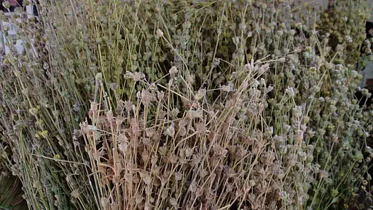 KIŞ MEVSİMİ YAKLAŞTI ÇAYA TALEP ARTTI