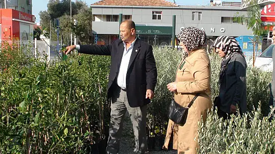 BAŞKAN KARAYİĞİT, 'ZEYTİN FİDANLARI GELDİ'