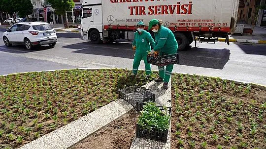 Çevre düzenleme çalışmaları sürdürülüyor