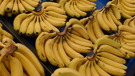 2023 YILININ İLK SALI PAZARI KURULDU