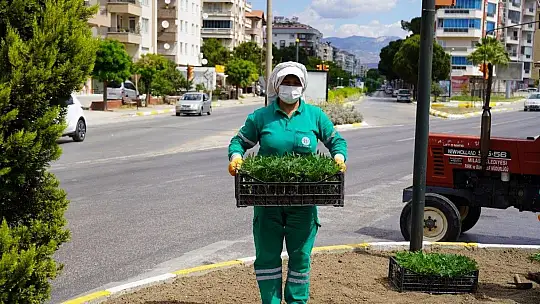 Çevre düzenleme çalışmaları sürdürülüyor