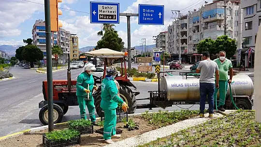 Çevre düzenleme çalışmaları sürdürülüyor