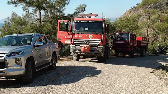 TEMİZLİK ATEŞİ YAKAN ŞAHIS CEZA YEMEKTEN KURTULAMADI 
