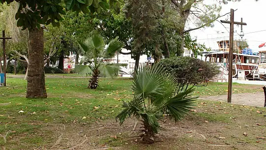 FETHİYE GÜNE FIRTINA İLE UYANDI