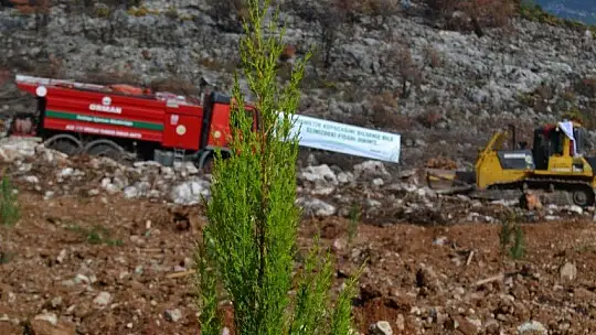 Fethiye'de 5 bin fidan toprakla buluştu