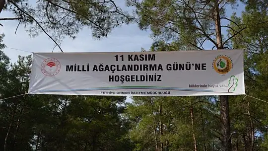 Fethiye'de 5 bin fidan toprakla buluştu