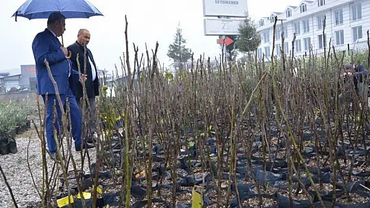 Coğrafi İşaretli Fethiye Kaya İnciri Fidanları Üreticilerle Buluştu