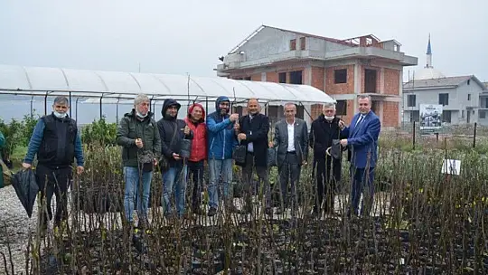 Coğrafi İşaretli Fethiye Kaya İnciri Fidanları Üreticilerle Buluştu