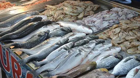 Av yasakları Akdeniz'de 15 Eylül'de, diğer denizlerde 1 Eylül'de kalkıyor