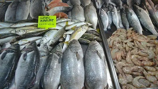 Av yasakları Akdeniz'de 15 Eylül'de, diğer denizlerde 1 Eylül'de kalkıyor