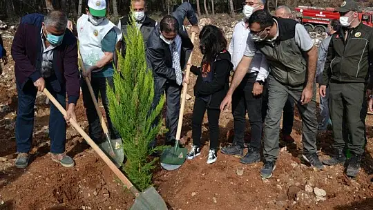 Fethiye'de 5 bin fidan toprakla buluştu