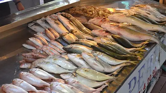 Av yasakları Akdeniz'de 15 Eylül'de, diğer denizlerde 1 Eylül'de kalkıyor