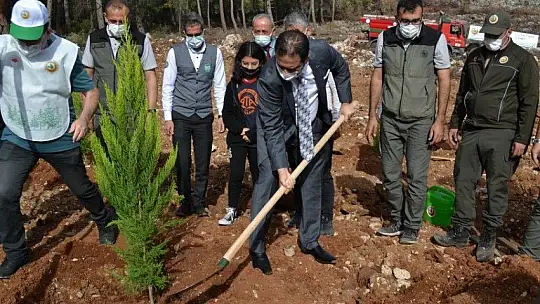 Fethiye'de 5 bin fidan toprakla buluştu