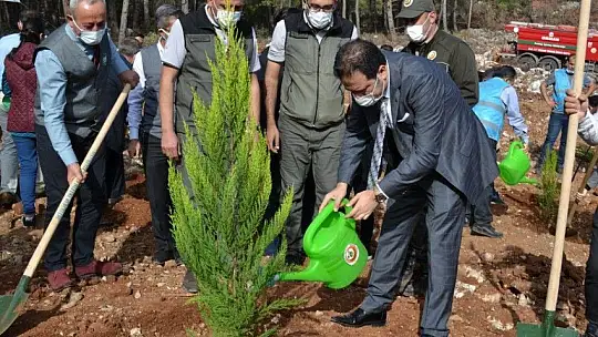 Fethiye'de 5 bin fidan toprakla buluştu