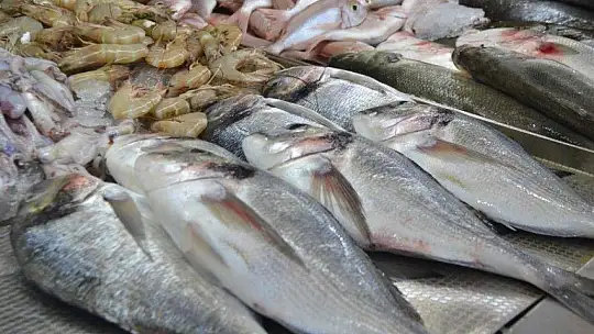 Av yasakları Akdeniz'de 15 Eylül'de, diğer denizlerde 1 Eylül'de kalkıyor