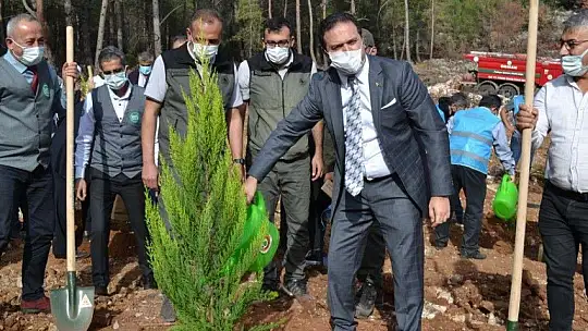 Fethiye'de 5 bin fidan toprakla buluştu